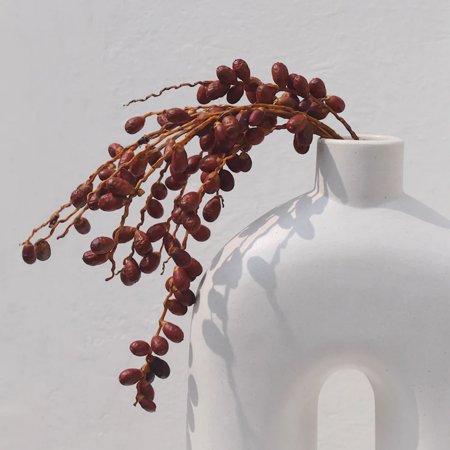 Ozo Vase - wearwell